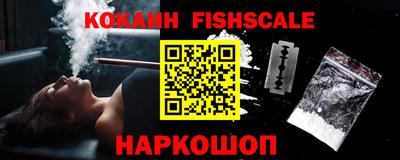 ECSTASY Новозыбков