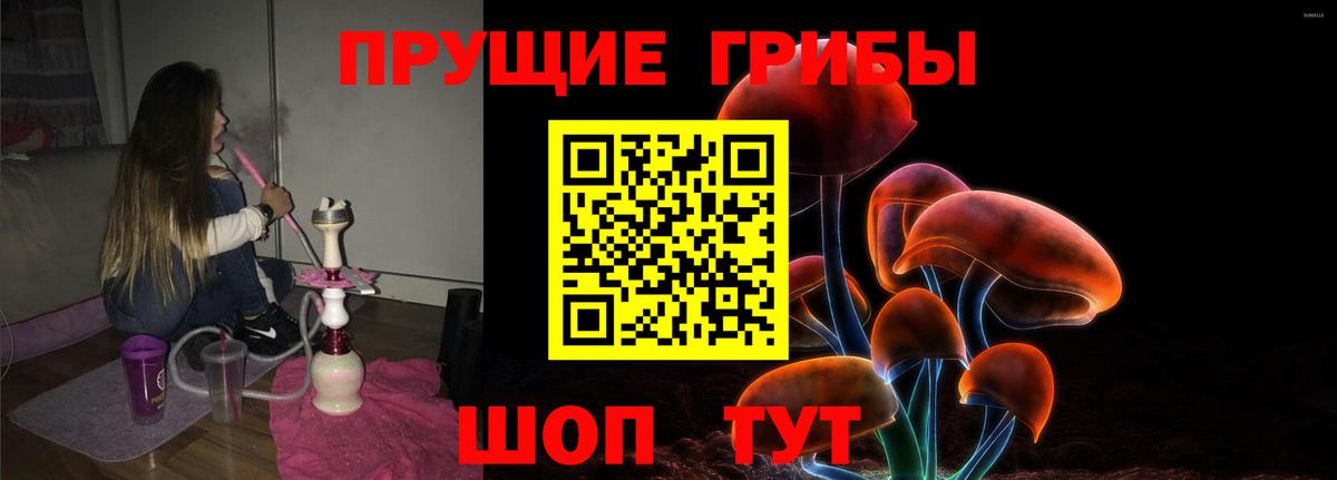 Псилоцибиновые грибы Psilocybine cubensis  Вход с VPN  Рассказово 